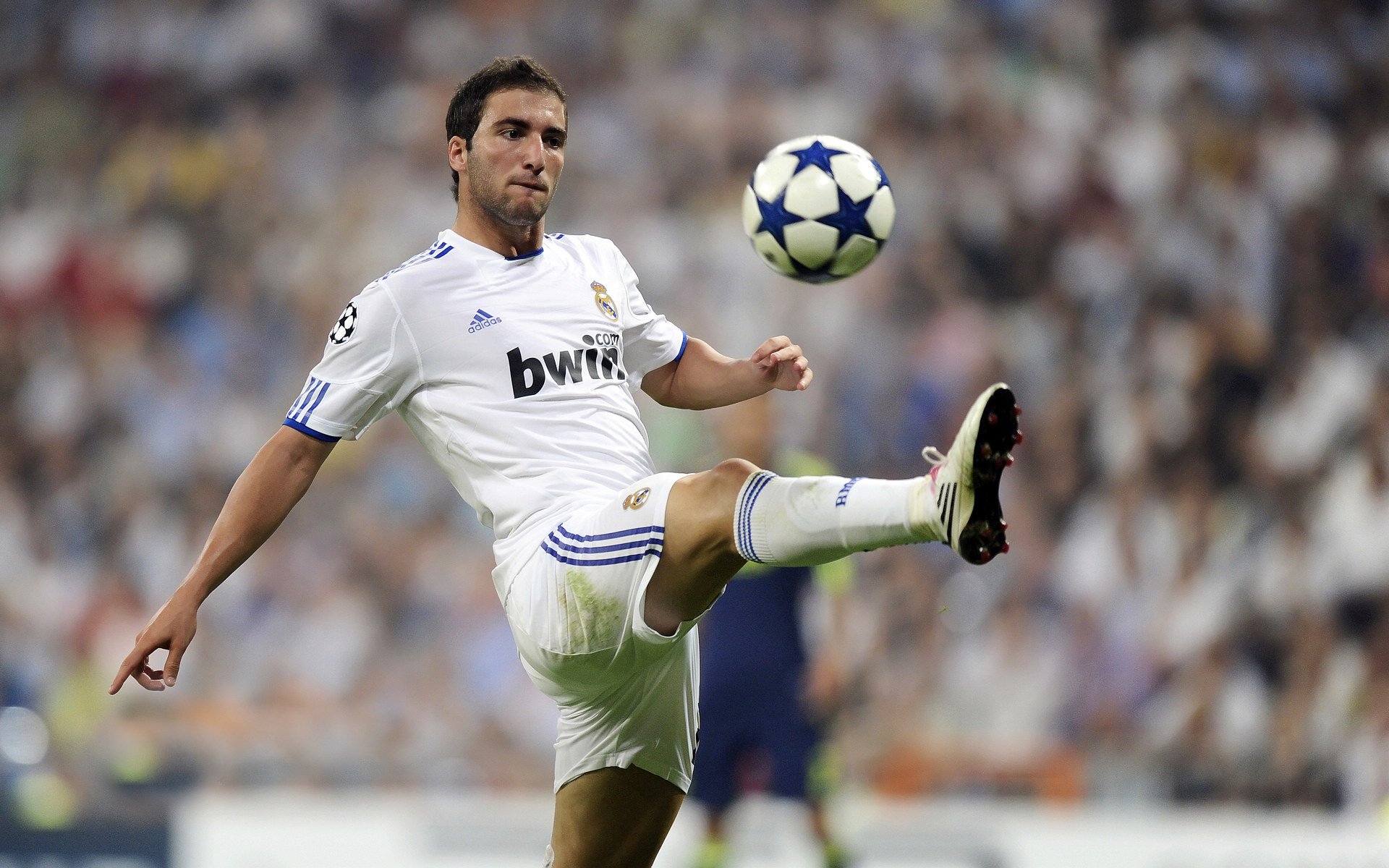 洛里昂主场迎战里尔