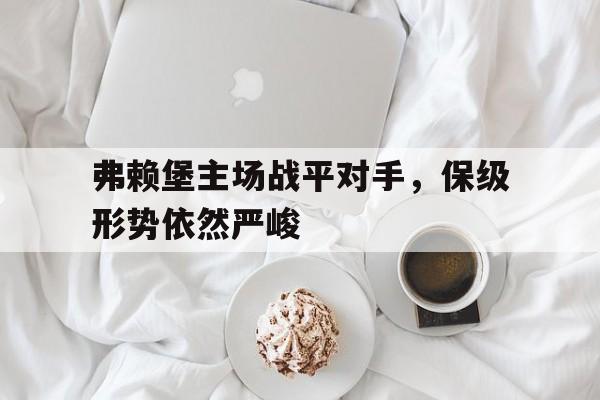 九游娱乐-弗赖堡球队